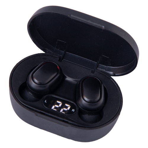 Earphone