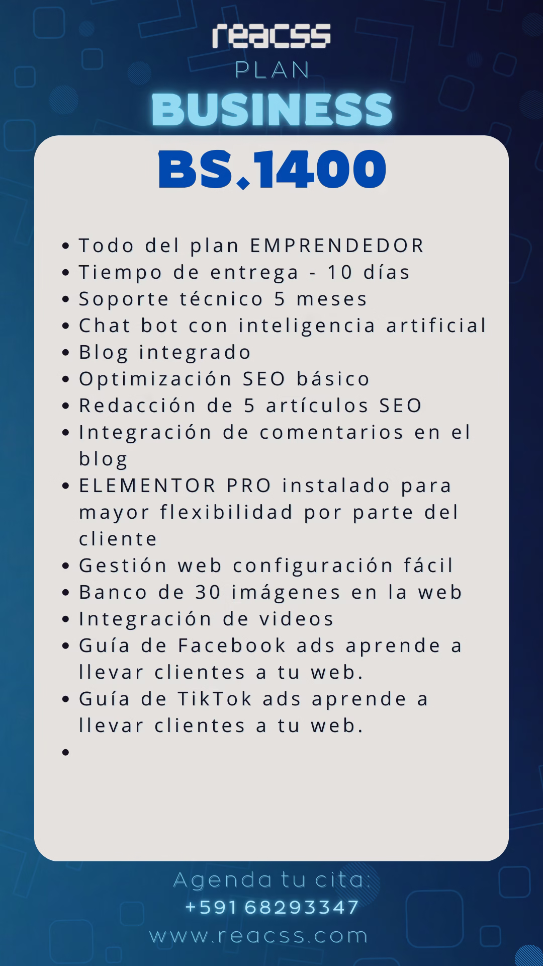 PLAN BUSINESS DISEÑO WEB 2 2 1