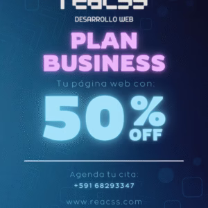 PLAN BUSINESS DISEÑO WEB